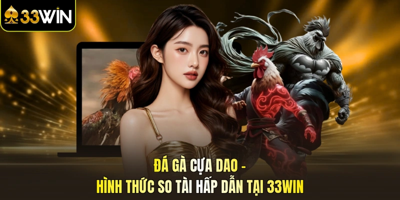 Đá gà cựa dao