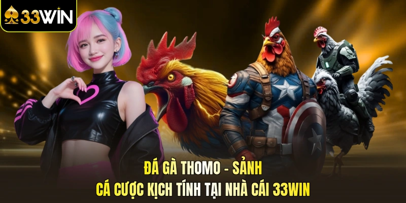 Đá gà Thomo